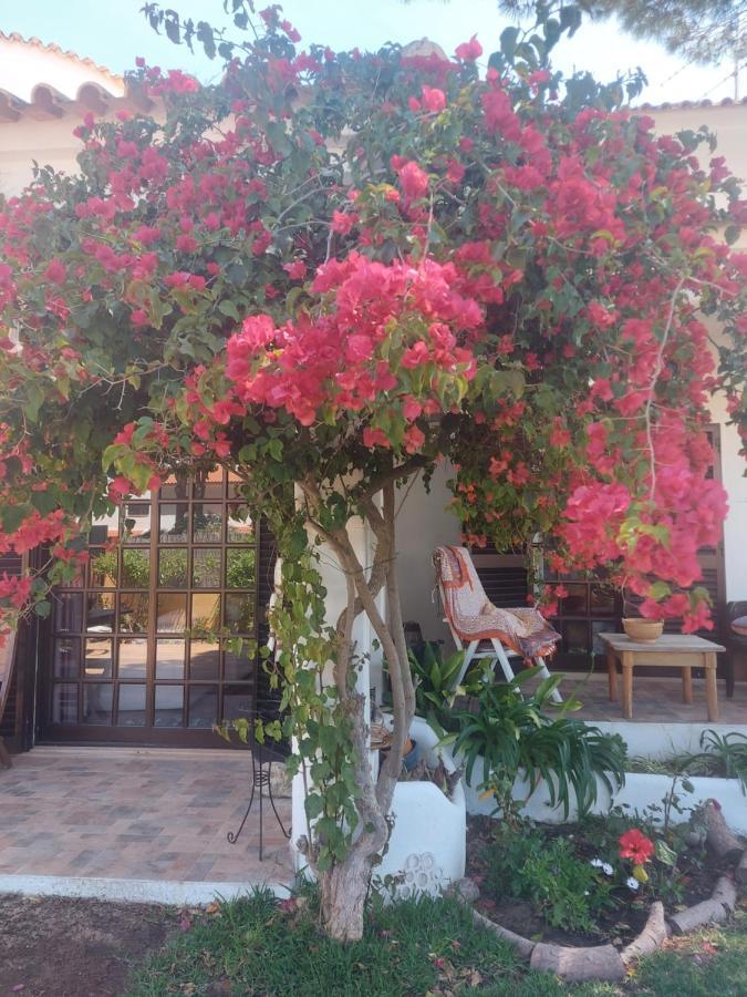 Casa 19 Apartment Albufeira Ngoại thất bức ảnh