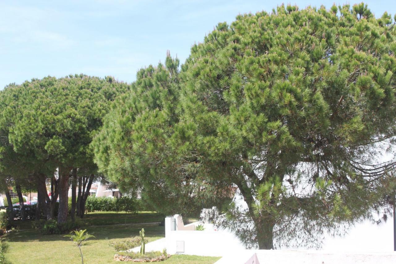 Casa 19 Apartment Albufeira Ngoại thất bức ảnh